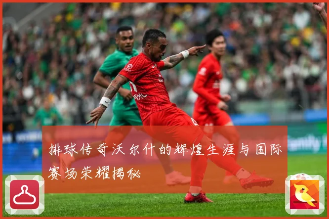 排球传奇沃尔什的辉煌生涯与国际赛场荣耀揭秘
