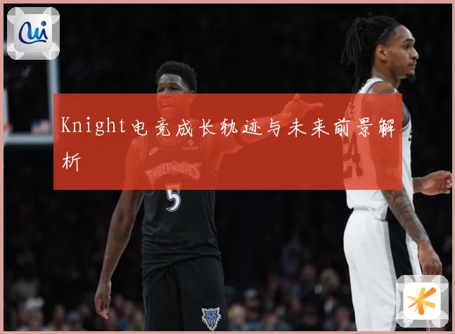 Knight电竞成长轨迹与未来前景解析