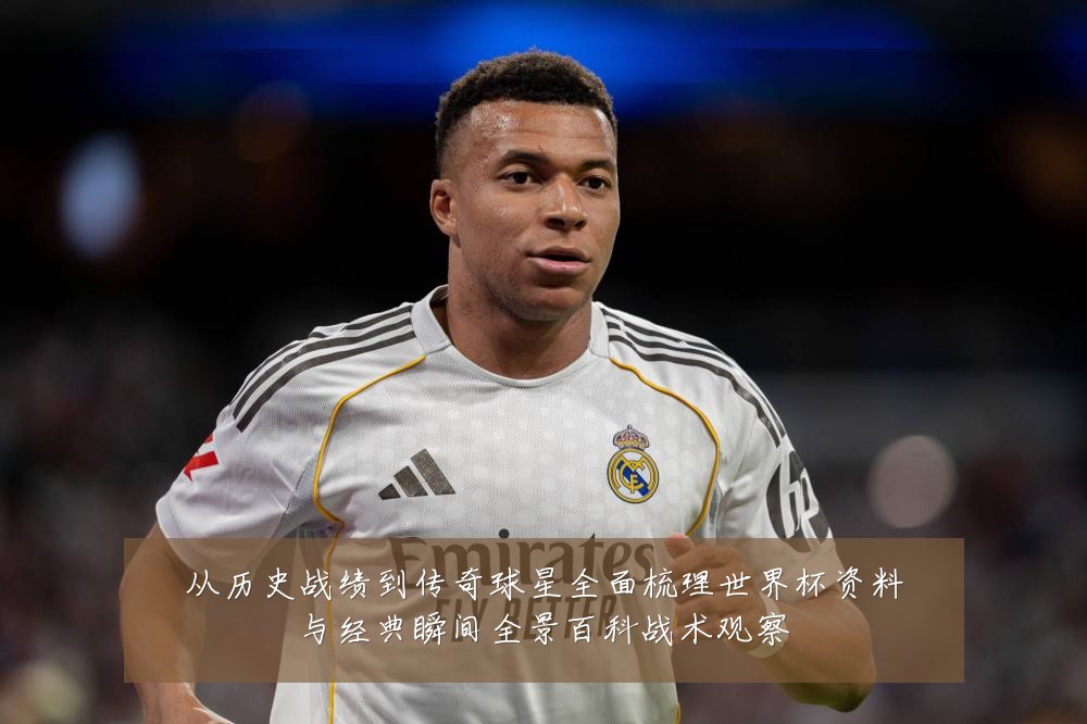 从历史战绩到传奇球星全面梳理世界杯资料与经典瞬间全景百科战术观察